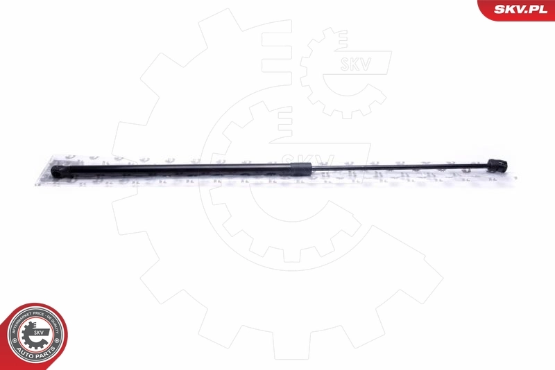 Gas Spring, boot/cargo area